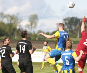 Schemmerhofen I - FCW I34.jpg