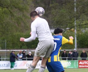 Warthausen - FCW12.jpg