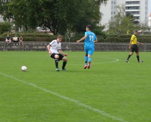 Warthausen_Birkenhard8.jpg