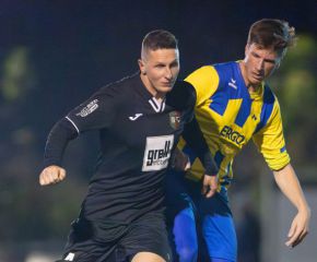 fcw - ringschnait1.jpg