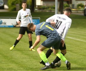 Bellamont - FCW29.jpg