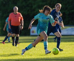 Bellamont III-FCW5.jpg