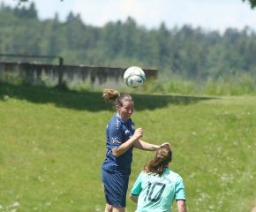 Dettingen-FCW30.jpg