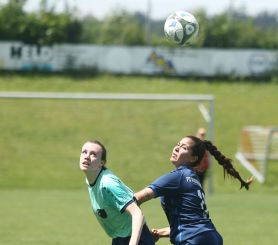 Dettingen-FCW45.jpg