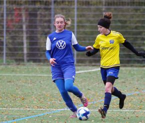FCW - Bellamont II1.jpg