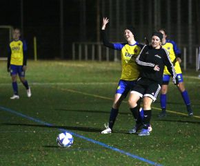 FCW - Bellamont II5.jpg