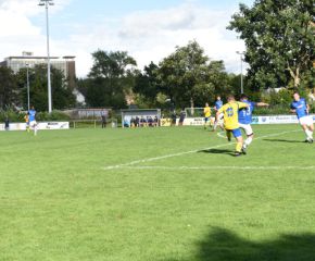 FCW - FVB4.jpg