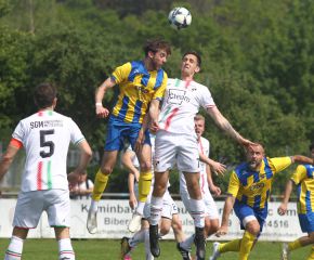 FCW - Ringschnait18.jpg