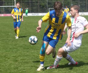 FCW - Ringschnait4.jpg