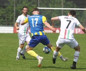 FCW - Ringschnait9.jpg
