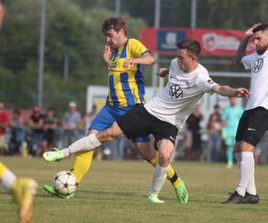 FCW - SV Steinhausen37.jpg