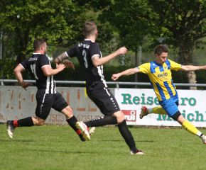 FCW - Schwendi13.jpg