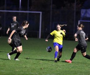 FCW - Warthausen10.jpg
