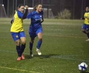 FCW II - Bellamont III28.jpg