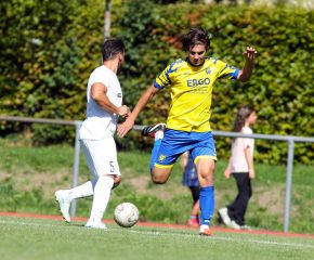 Inter L. - FCW I17.jpg