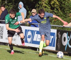 Ringschnait - FCW31.jpg