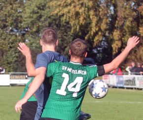 Ringschnait - FCW35.jpg