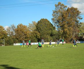 SGM RIngschnait - FCW18.jpg