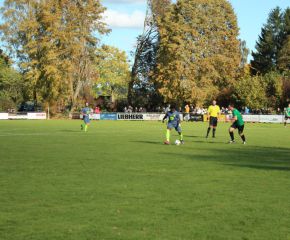 SGM RIngschnait - FCW38.jpg
