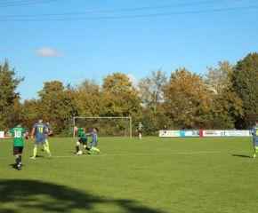 SGM RIngschnait - FCW9.jpg