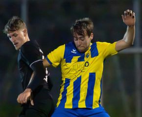 fcw - ringschnait3.jpg