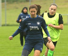 Alberweiler - FCW37.jpg