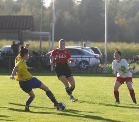 Baltringen - FCW12.jpg