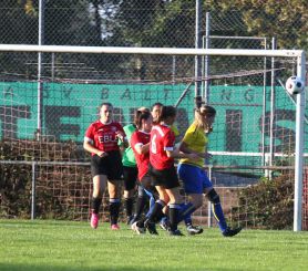 Baltringen - FCW35.jpg