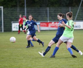 Bellamont II - FCW 23-249.jpg