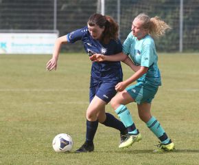 Bellamont II - FCW39.jpg