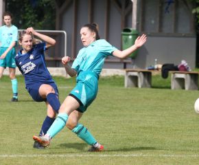 Bellamont II - FCW54.jpg