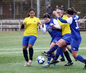 FCW - Bellamont II22.jpg