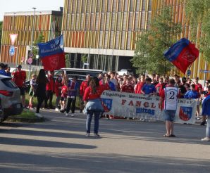 FCW - Motscha13.jpg