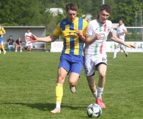 FCW - Ringschnait30.jpg