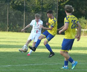 FCW - SGM Ringschnait7.jpg