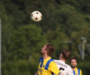 FCW - SV Steinhausen55.jpg