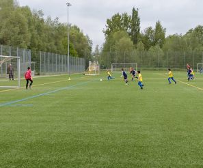 FCW - Schwendi1.jpg