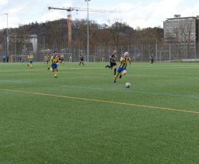 FCW - USA 3.jpg