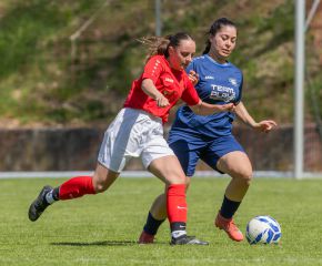 Reinstetten - FCW13.jpg