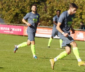 Ringschnait - FCW4.jpg