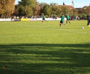 SGM RIngschnait - FCW123.jpg