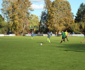 SGM RIngschnait - FCW40.jpg
