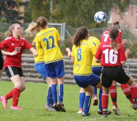 fCW - SGM Dettingen16.jpg