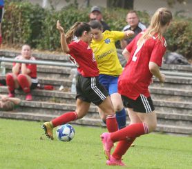 fCW - SGM Dettingen17.jpg