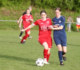 Baltringen - FCW20.jpg