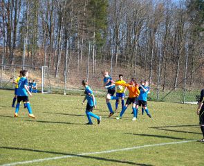 Baustetten100.jpg