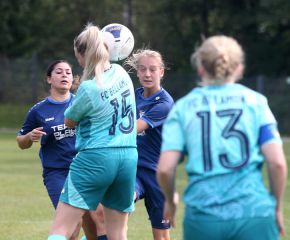 Bellamont II - FCW20.jpg