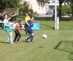 Bellamont II - FCW43.jpg