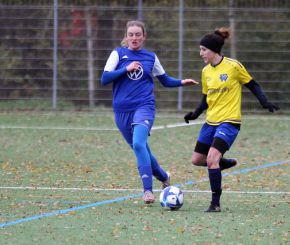 FCW - Bellamont II2.jpg
