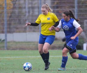 FCW - Bellamont II28.jpg